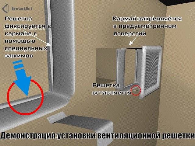 11x11 Venus графитовая